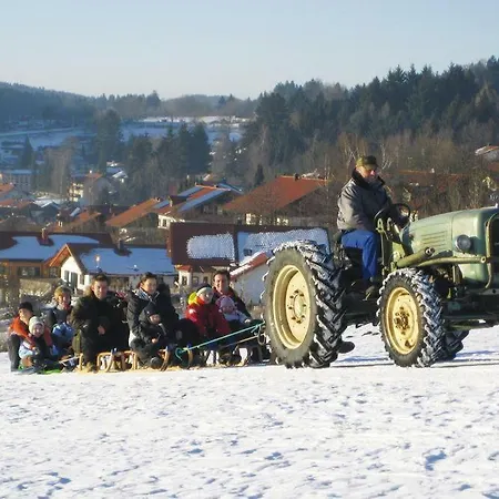 Holiday Berghaus Julia St. Englmar - Dmg04509-f